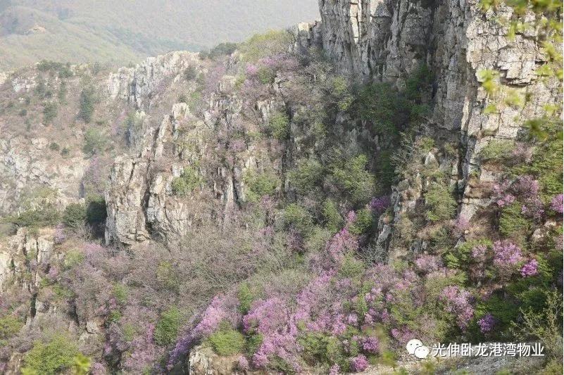 GA黄金甲(中国游)最新官方网站