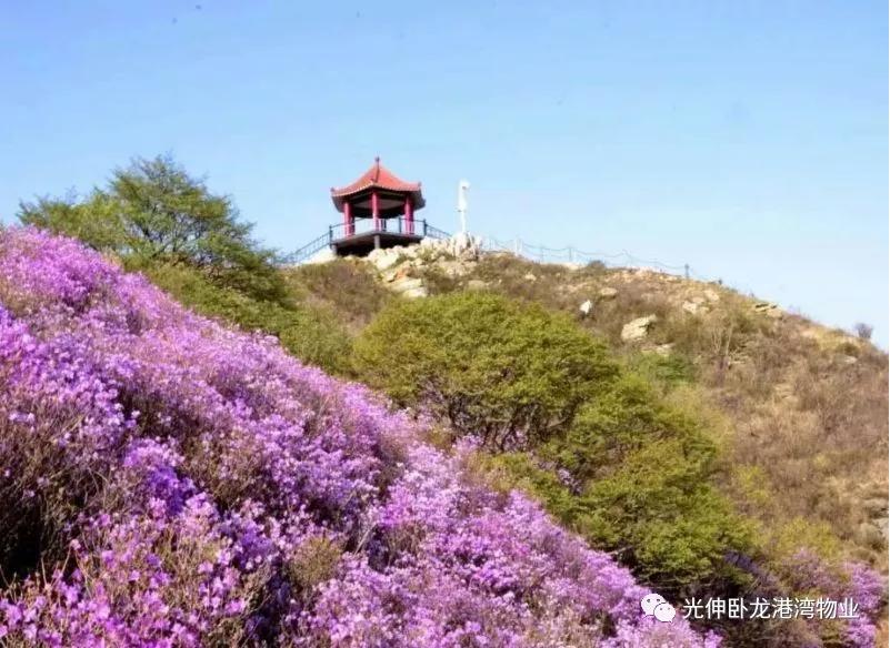 GA黄金甲(中国游)最新官方网站