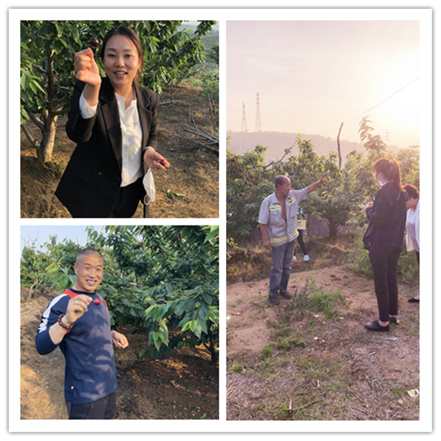 GA黄金甲(中国游)最新官方网站