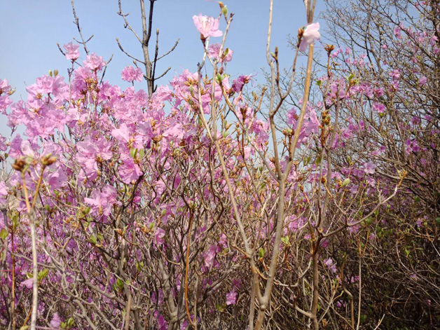 GA黄金甲(中国游)最新官方网站